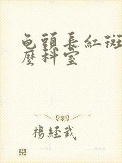 龟头长红斑挂什么科室