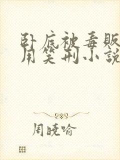 卧底被毒贩抓住用笑刑小说