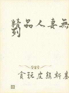 精品人妻无吗系列