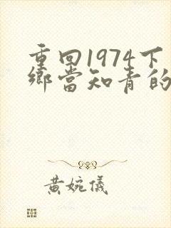 重回1974下乡当知青的小说