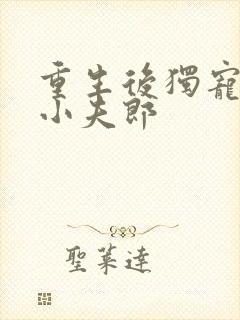 重生后独宠灾星小夫郎封面