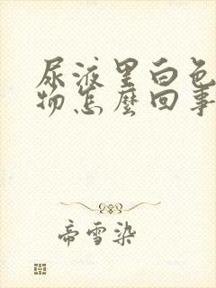 尿液里白色絮状物怎么回事封面