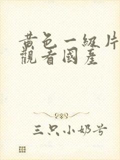 黄色一级片在线观看国产