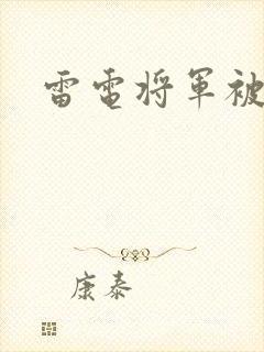雷电将军被惩罚