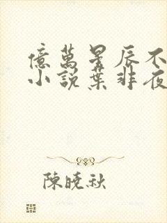 亿万星辰不及你小说叶非夜