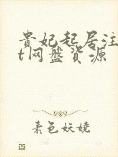 贵妃起居注txt网盘资源