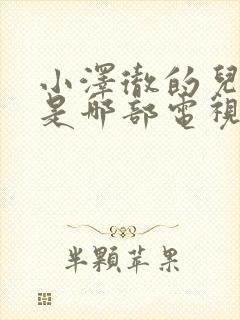 小泽彻的儿媳妇是哪部电视剧