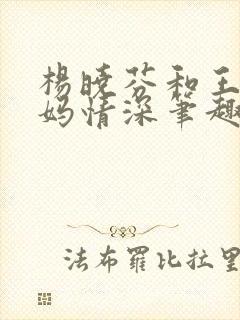 杨晓芬和王磊后妈情深笔趣阁