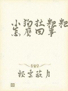 小狗拉粑粑带血怎么回事