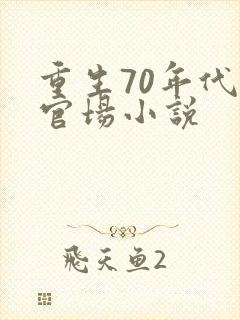 重生70年代的官场小说封面