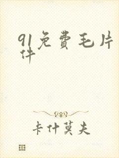 91免费毛片软件