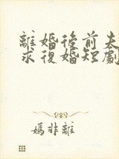 离婚后前夫日日求复婚短剧