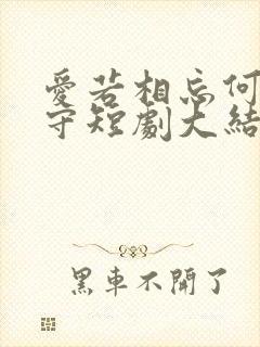 爱若相忘何必相守短剧大结局封面