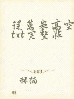 从万米高空降临txt完整版