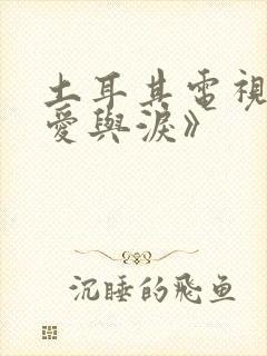 土耳其电视剧《爱与泪》