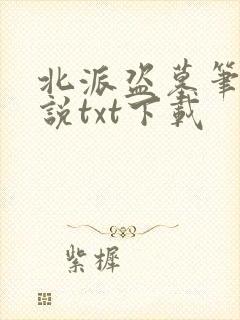 北派盗墓笔记小说txt下载