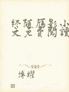 终随雁影小说全文免费阅读封面