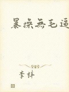 暴操无毛逼封面