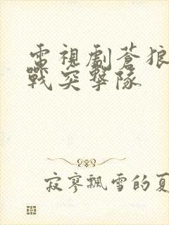 电视剧苍狼之特战突击队