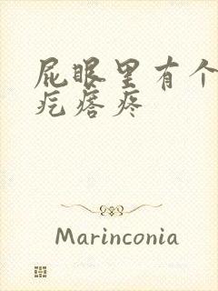 屁眼里有个硬的疙瘩疼