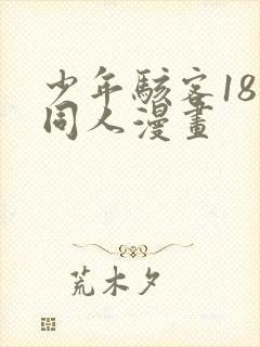 少年骇客18禁同人漫画封面