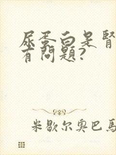 尿蛋白是肾哪里有问题?