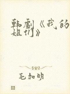 韩剧《我的好姐姐们》