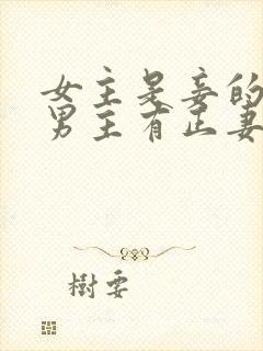 女主是妾的虐文男主有正妻封面