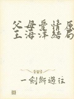 父母爱情原著中王海洋结局封面