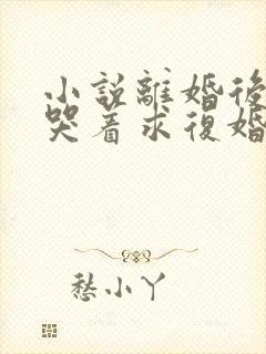 小说离婚后前夫哭着求复婚全文阅读封面