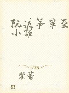 阮流筝宁至谦的小说