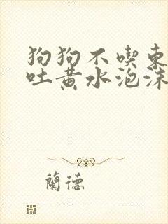 狗狗不吃东西呕吐黄水泡沫粘液