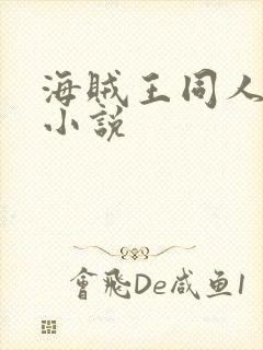 海贼王同人完结小说