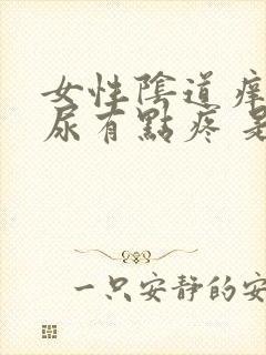 女性阴道痒 排尿有点疼 是怎么回事