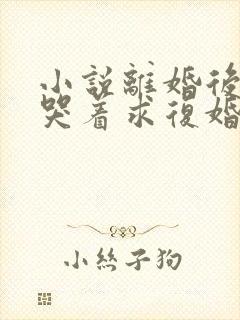 小说离婚后前夫哭着求复婚免费阅读