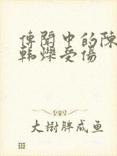 传闻中的陈芊芊韩烁受伤