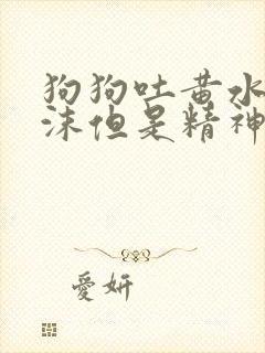 狗狗吐黄水带泡沫但是精神