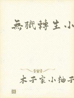 无职转生小说封面