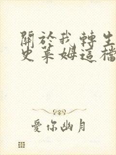 关于我转生变成史莱姆这档事 小说