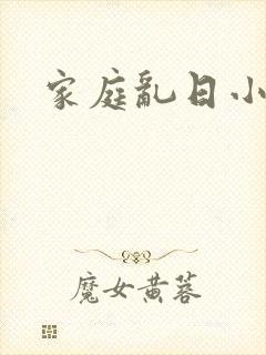 家庭乱日小说