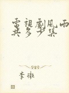 电视剧风雨潮一共多少集