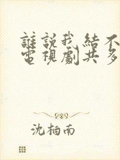 谁说我结不了婚电视剧共多少集