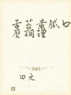 舌苔黄腻口苦怎么调理