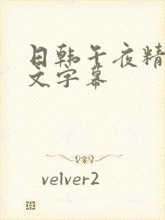 日韩午夜精品中文字幕