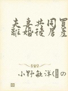 夫妻共同买的房离婚后房产证怎么办封面