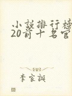 小说排行榜2020前十名官场