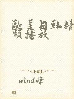 欧美日韩精品视频播放