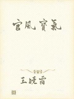 官风宝气封面