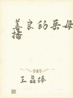 善良的岳母 云播