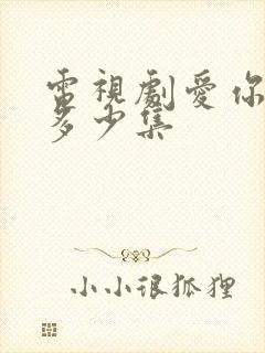 电视剧爱你一共多少集